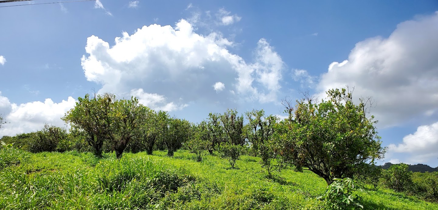 From snow to sun, Belize, Vacation, Hummingbird highway