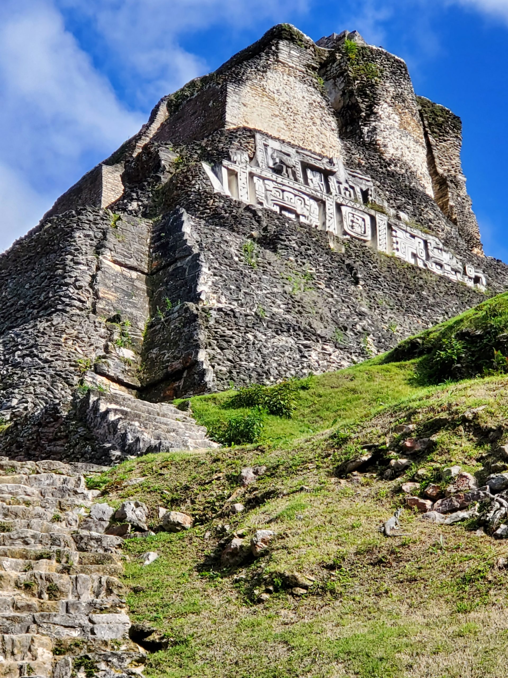 Xunantunich, Iguana, Mayan Ruin, Belize, San Ignacio